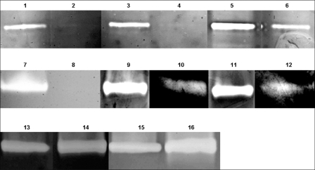 FIG. 8.