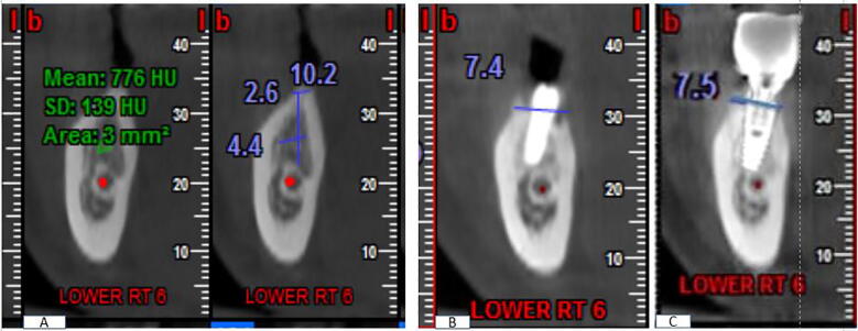 Fig. 3