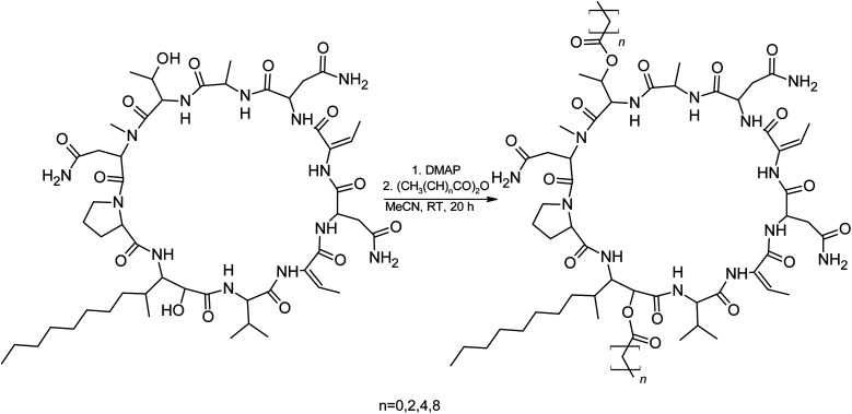 Scheme 2