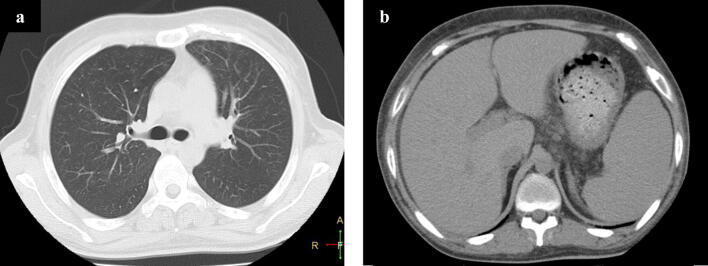 Fig. 5