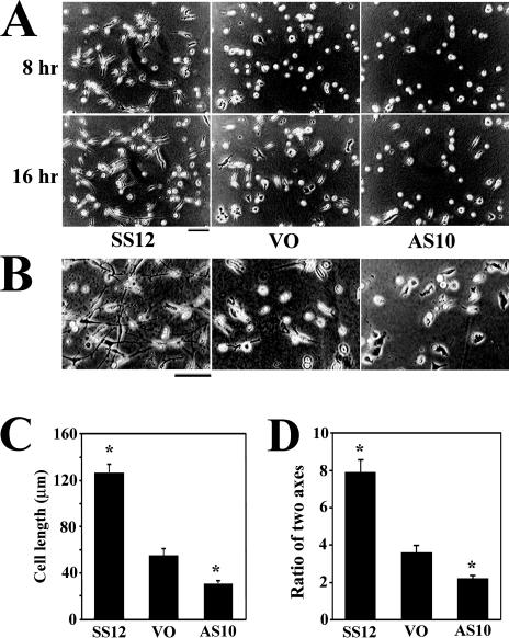 Fig 2.