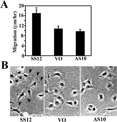 Fig 5.