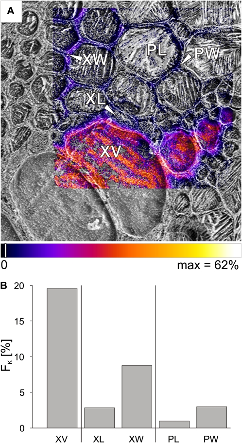 Figure 5.