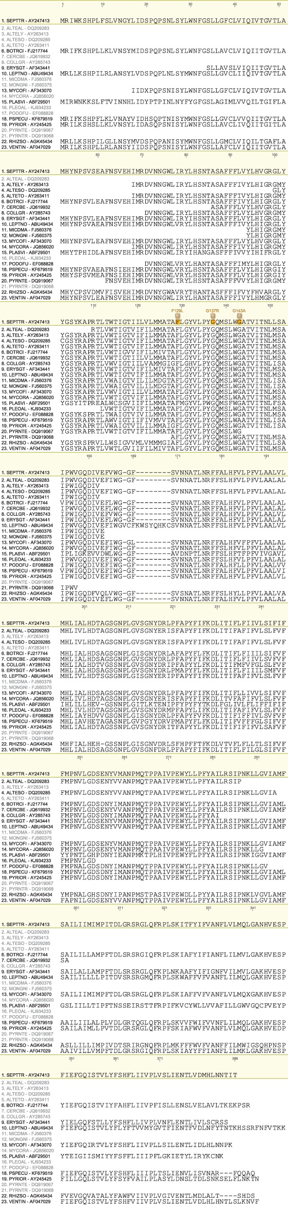 PS-4301-FIG-0001-c