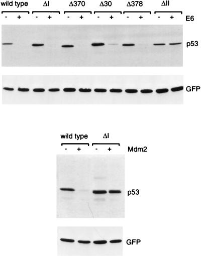 FIG. 5