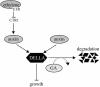 Figure 7.