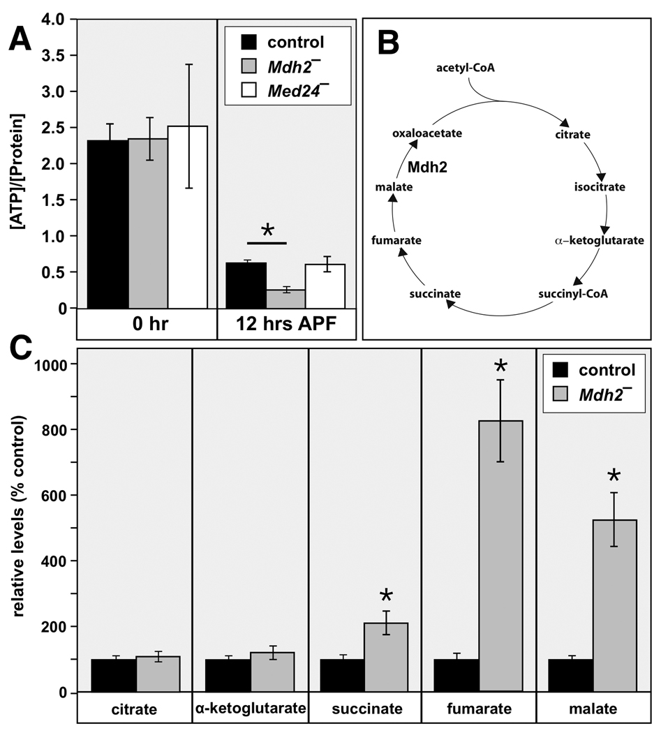 Fig. 6