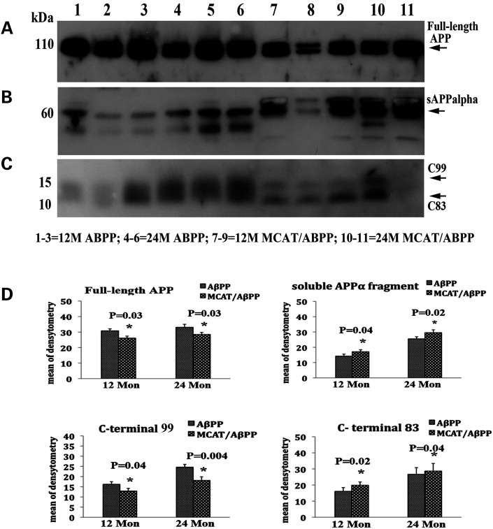 Figure 2.