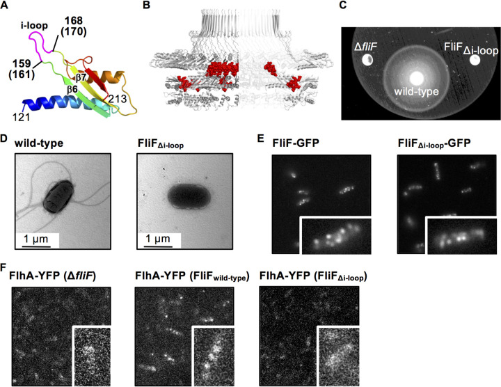 FIG 3