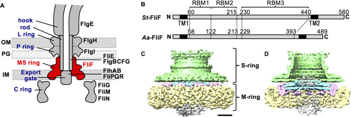 FIG 1