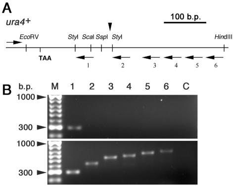 FIG. 6.