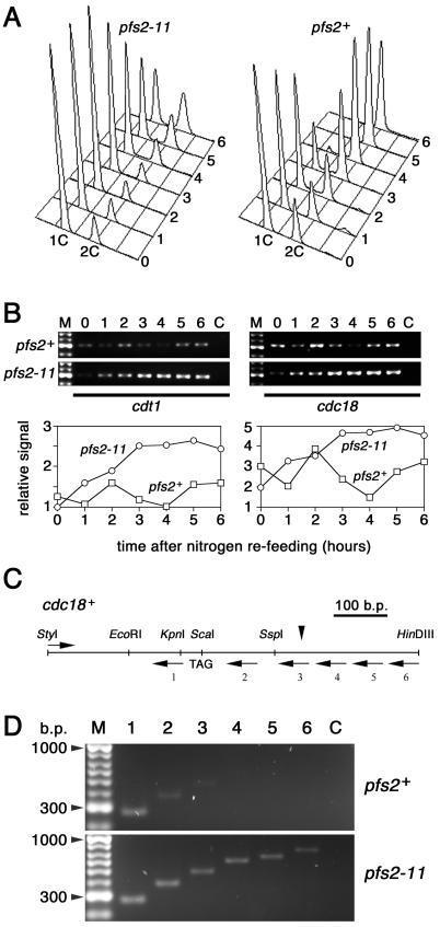 FIG. 7.