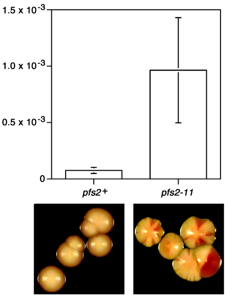 FIG. 5.