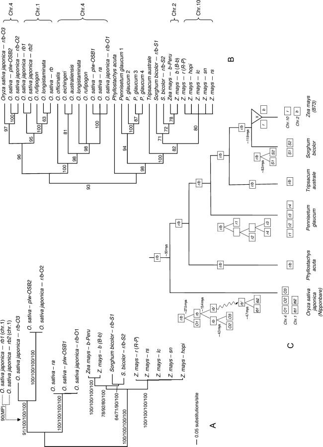 Figure 2.—