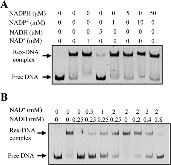 FIG 5