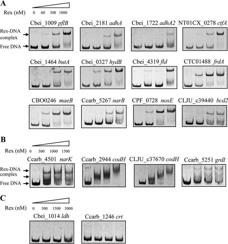 FIG 3