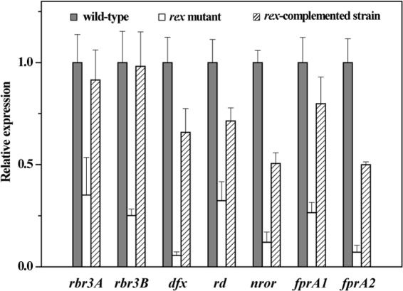 FIG 10