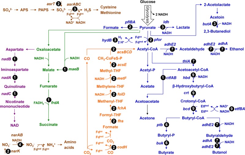 FIG 1