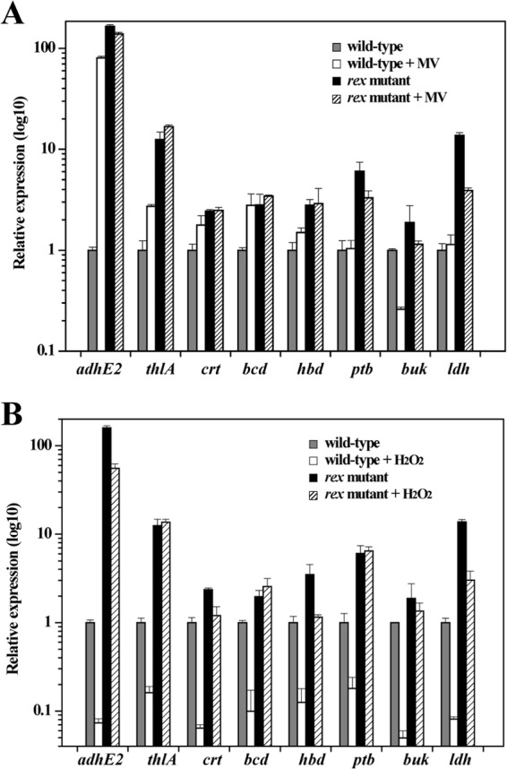 FIG 6