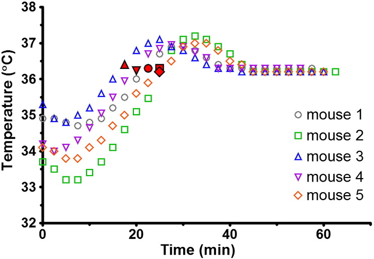 Fig. 4