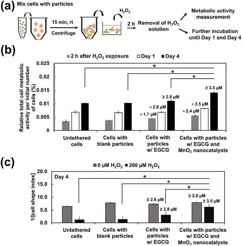 Figure 4: