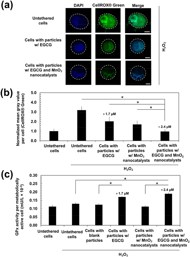 Figure 6: