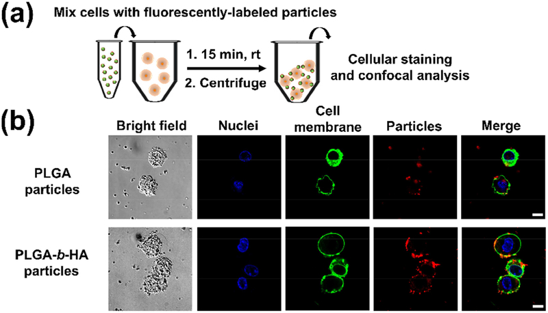 Figure 3: