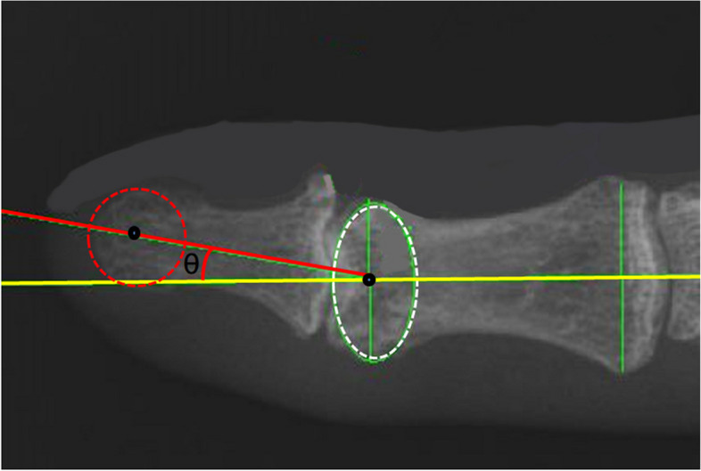 Fig. 4