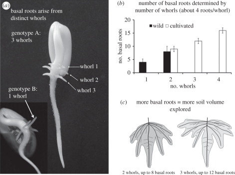 Figure 2.