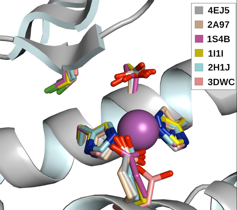 FIGURE 5.