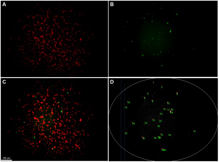 FIGURE 3