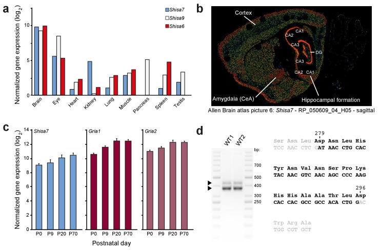 Figure 1—figure supplement 1.