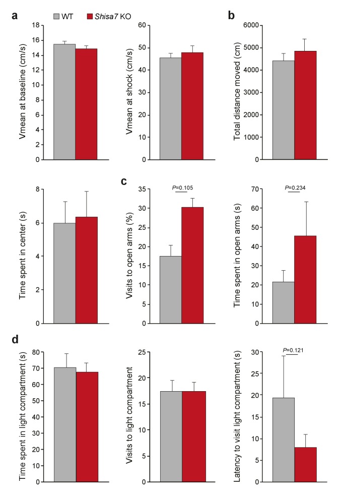 Figure 7—figure supplement 2.