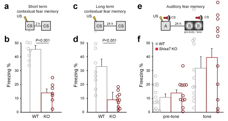 Figure 7—figure supplement 1.