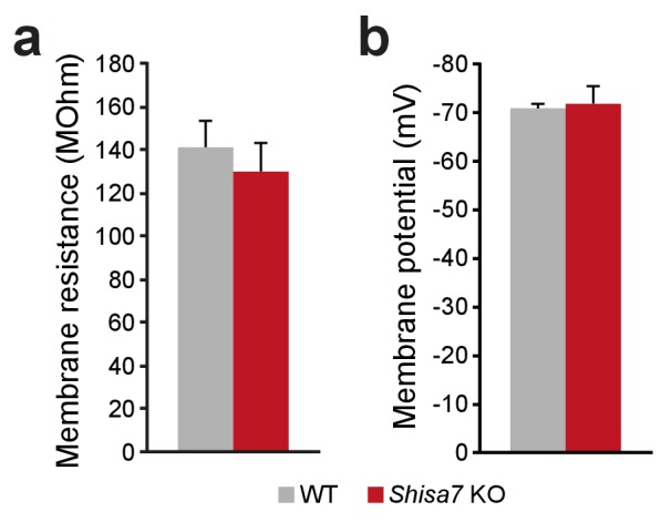 Figure 3—figure supplement 1.