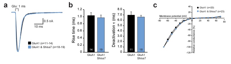 Figure 2—figure supplement 1.