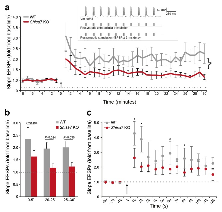 Figure 6—figure supplement 1.