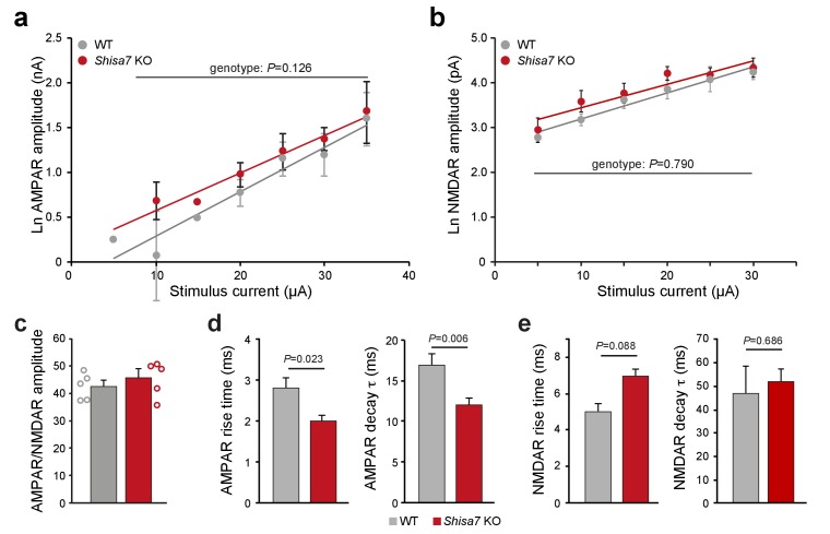 Figure 5—figure supplement 1.