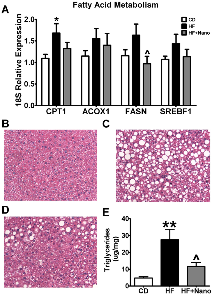 Fig.6.