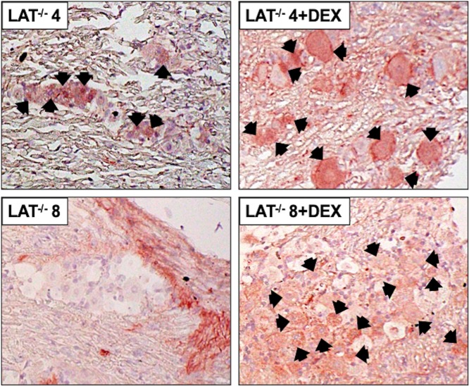 Fig 4