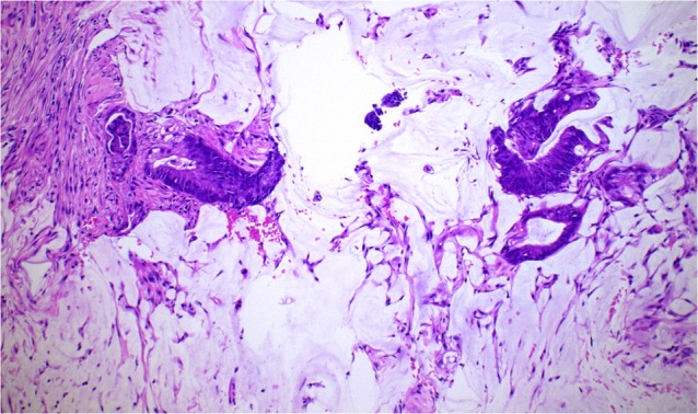 Figure 9: