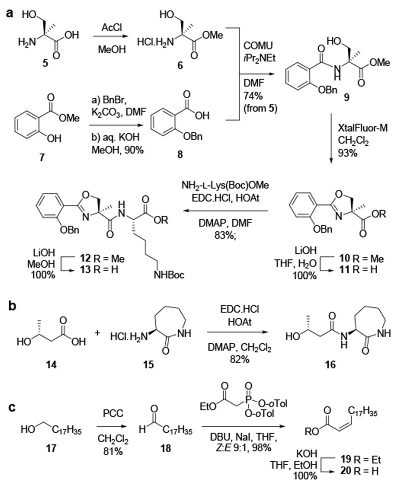 Scheme 1.