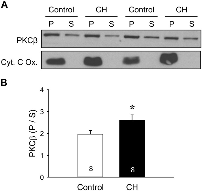 Fig. 11.