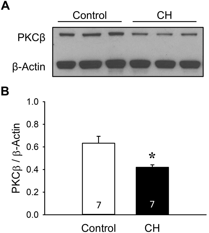 Fig. 10.