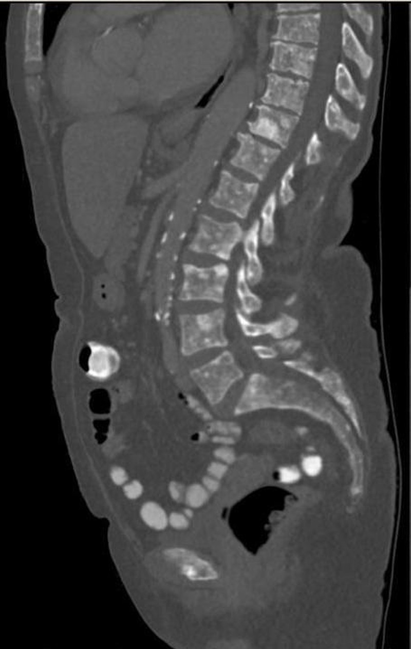 Figure 1