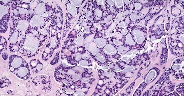 Fig. 7