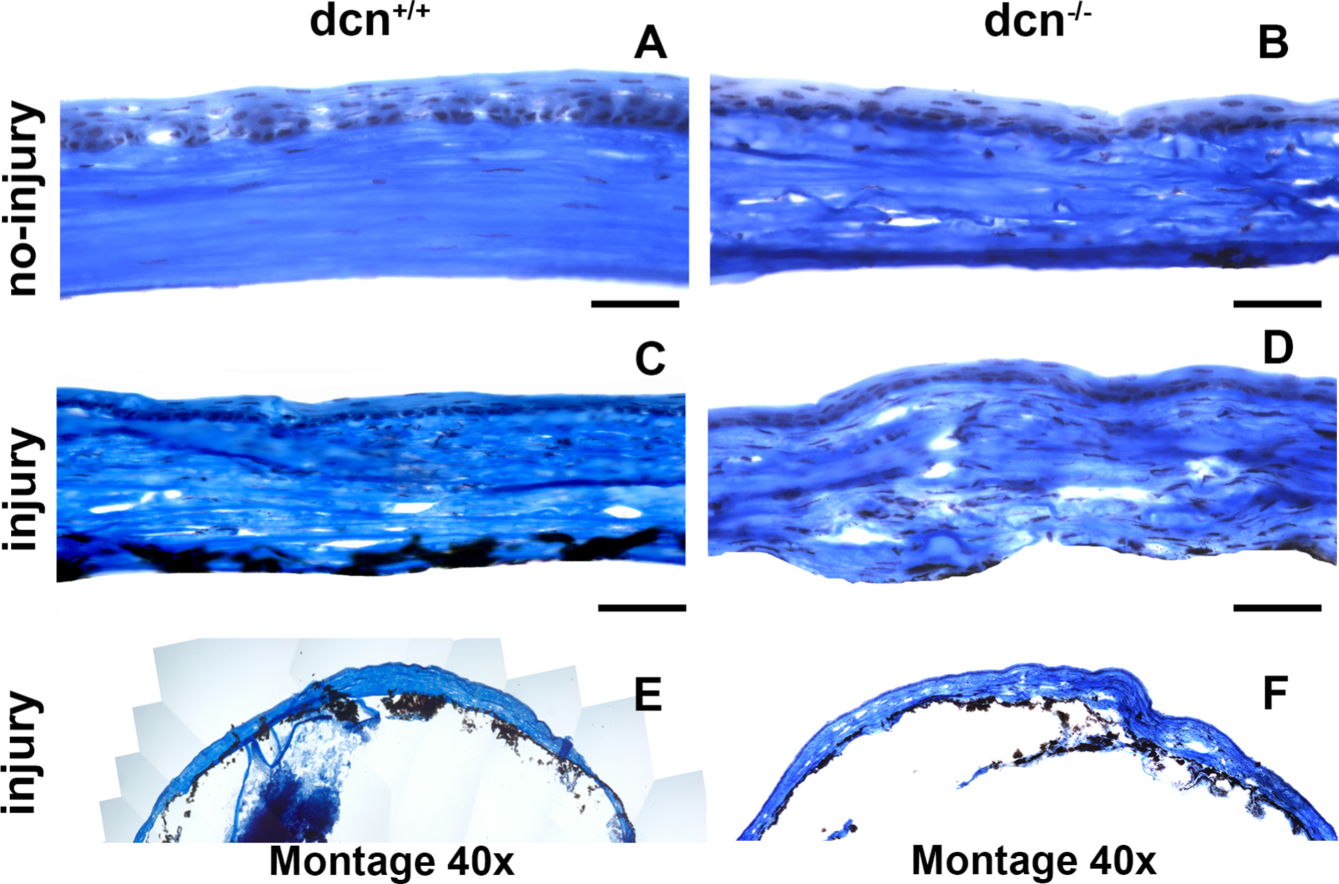 Figure 11.