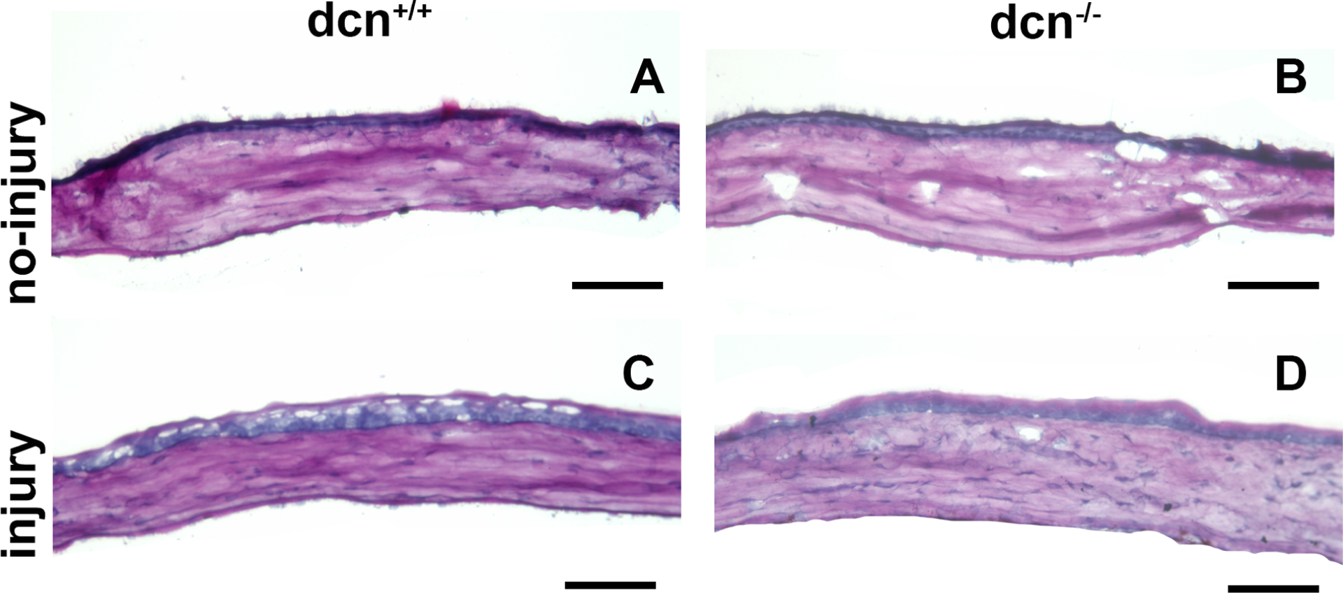 Figure 10.