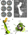Fig. 4