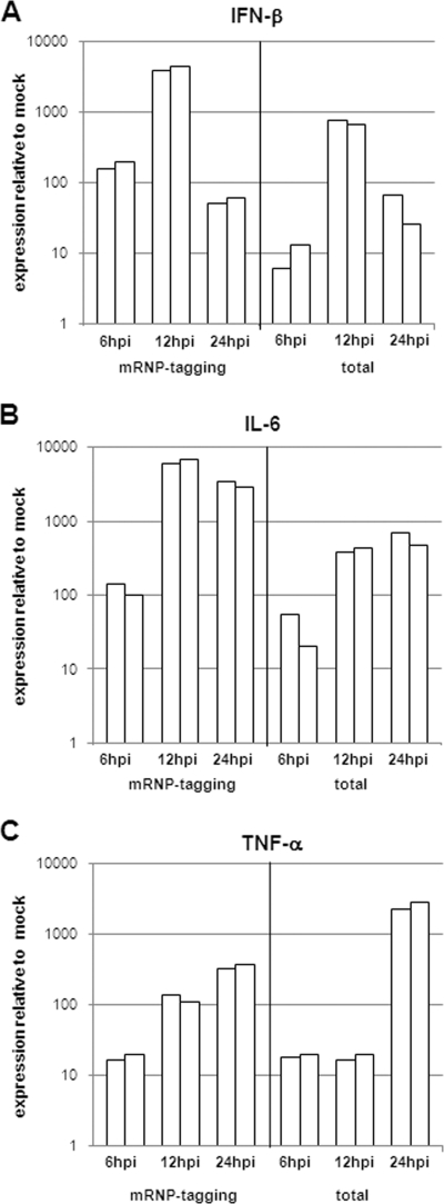 FIG. 3.